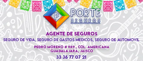 Porte agente de seguros